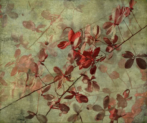 Ilustracja kwiat starodawny tło — Zdjęcie stockowe