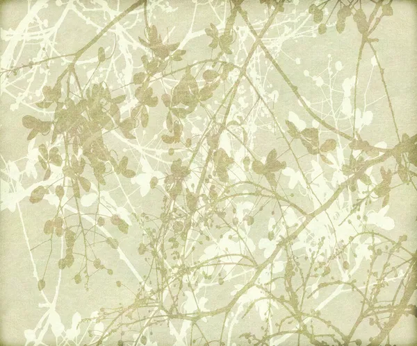 もつれた花と枝の背景 — ストック写真