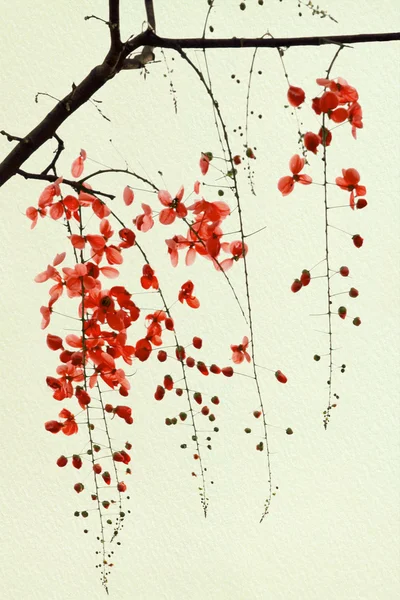 Zweig Roter Blüte Auf Handgeschöpftem Papierhintergrund — Stockfoto