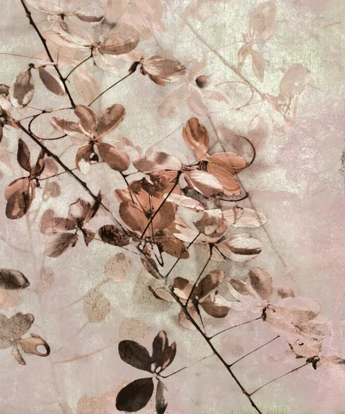 Grunge Antike Blume Hintergrund Mit Text Leerzeichen — Stockfoto
