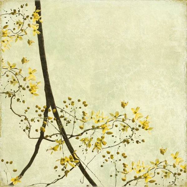 Tangled Blossom Gränsen Antika Papper Och Bambu Texturerat Bakgrund — Stockfoto