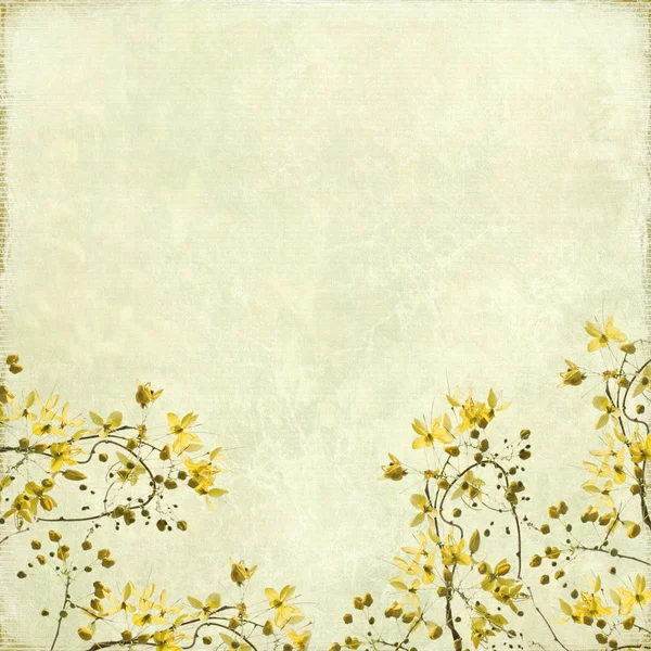 Tangled Blossom Border Antique Paper Bamboo Textured Background — Stock Photo, Image