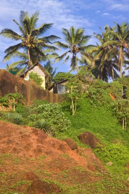 tropikal kulübe üzerinde clifftop kerala Hindistan