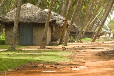 arka planda balıkçı teknesi ile balıkçı kulübeleri kerala Hindistan