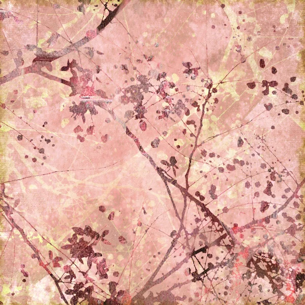 テキスト領域と柔らかいピンクの花のテクスチャ アートの背景 — ストック写真