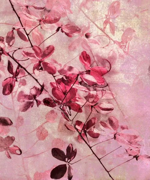 Blumenkunst Texturierten Hintergrund Mit Textfläche — Stockfoto