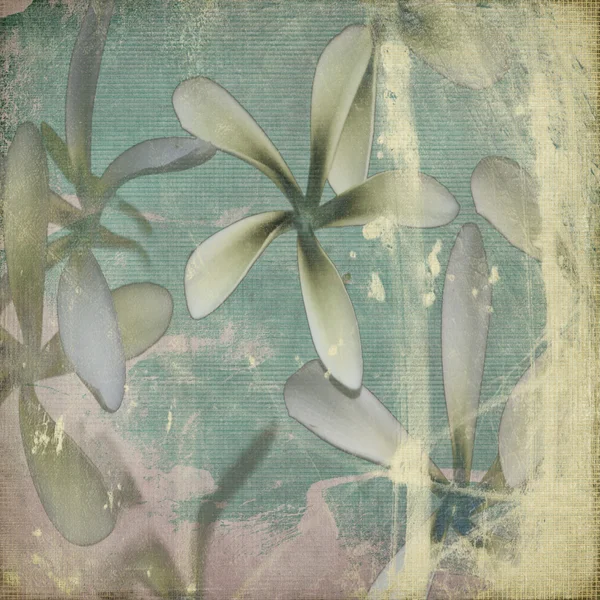 Гранж Пастель цветочный фон — стоковое фото