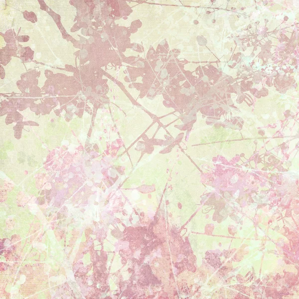 淡い桜と分岐アート — ストック写真