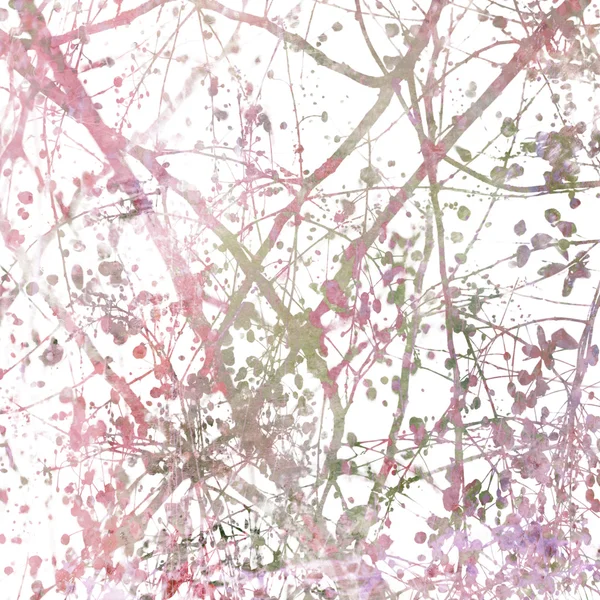 もつれた桜枝アート抽象白 — ストック写真