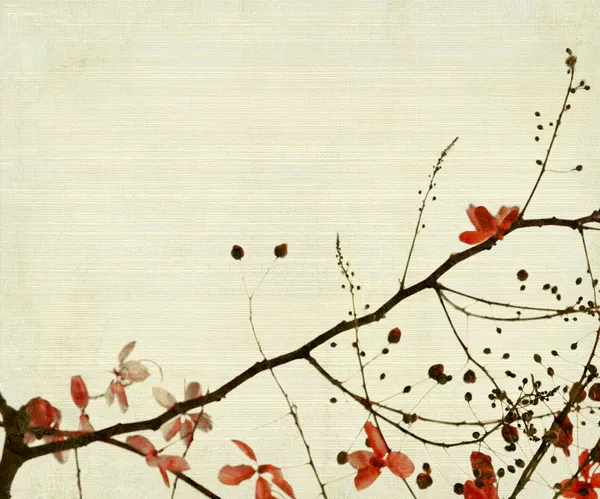 Rote Blume Und Laub Auf Bambus Strukturierten Hintergrund — Stockfoto