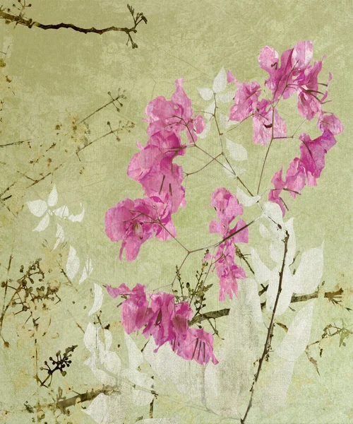 Kaligrafia kwiatowy dziełami sztuki — Zdjęcie stockowe