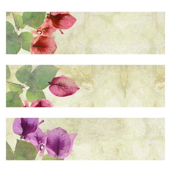 Set di banner per opere d'arte di fiori isolato — Foto Stock