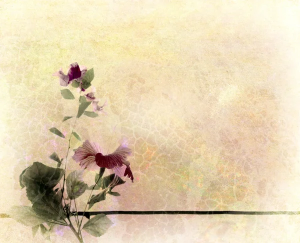 Florale Kunst Texturierten Hintergrund Mit Hibiskus Und Bougainvillea — Stockfoto