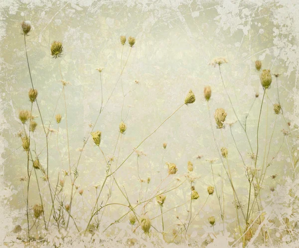 Grunge Pale Meadow Flor Arte Fondo — Foto de Stock