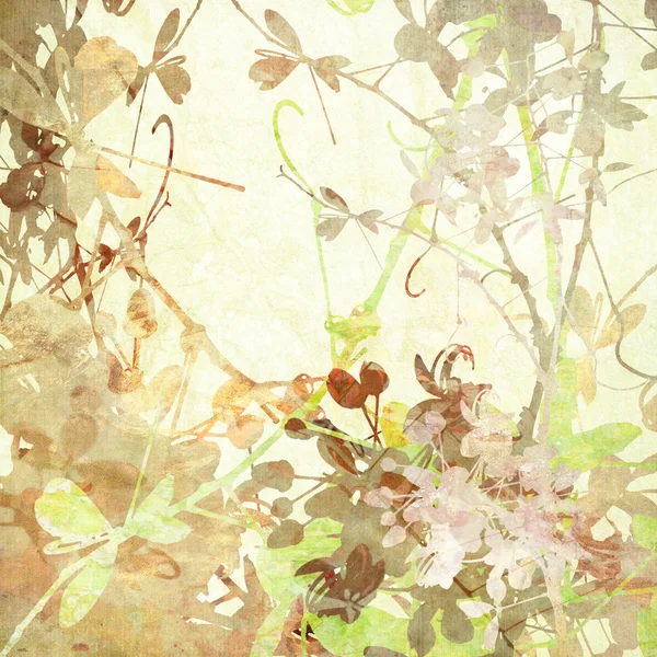 Pastel Vlinder Bloemen Illustraties Veel Texturen Papier — Stockfoto
