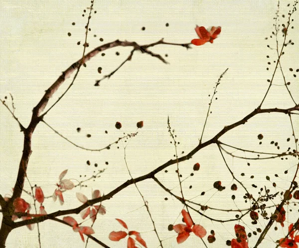 Красный Цветок Листва Бамбуковом Текстурированном Фоне — стоковое фото