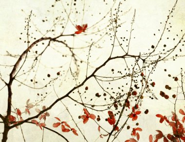 Black Branches and Stark Red Flowers on Paper clipart