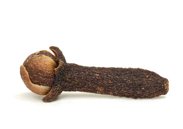 Chiodo di garofano singolo spezie isolato — Foto Stock