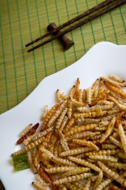 Fried bamboo larvae on a plate clipart