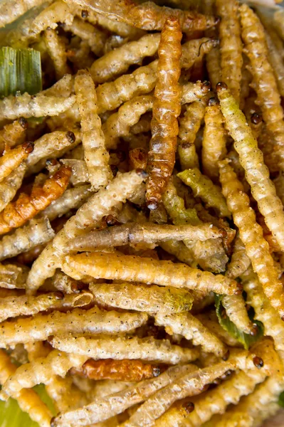 stock image Fried bamboo larvae. Close-up