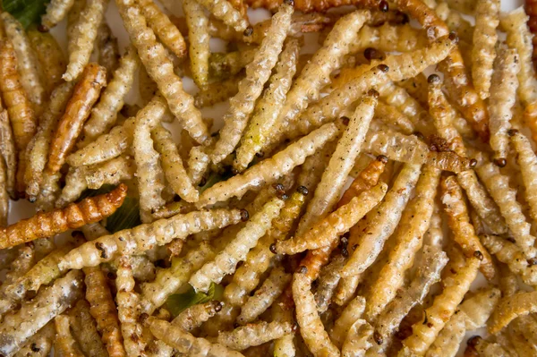 Stock image Fried bamboo larvae - national snack in Thailand