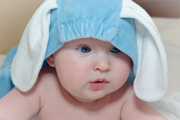 stock image Baby bunny