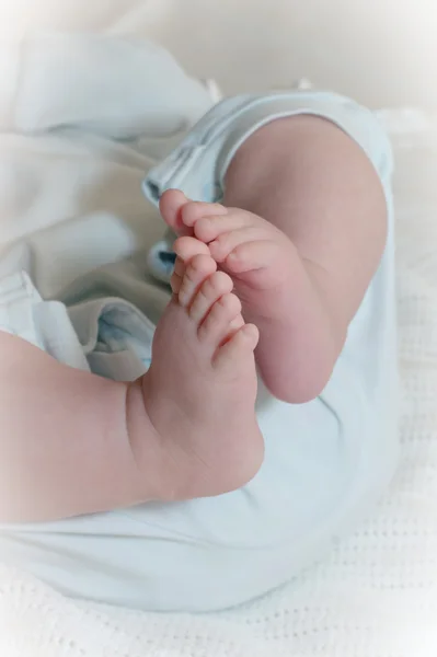 stock image Little baby feet