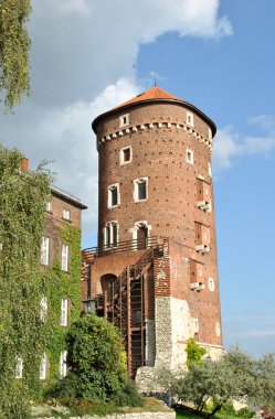 Krakow, Polonya Royal castle