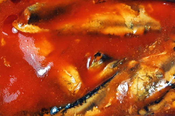 Pesce in salsa di pomodoro — Foto Stock