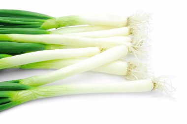 Green onion clipart