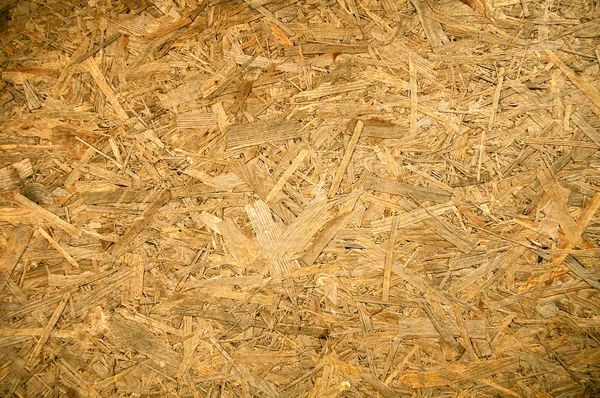 Plywood texture — Stock Photo, Image