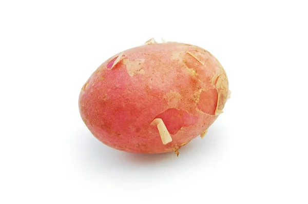 Nova potatoe — Fotografia de Stock