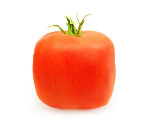 方形番茄 — 图库照片