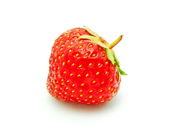 Strawberry terisolasi — Stok Foto