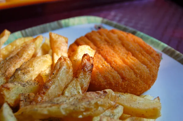 Kalkunkjøtt og pommes frites – stockfoto