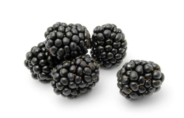 stock image Blackberries isolated