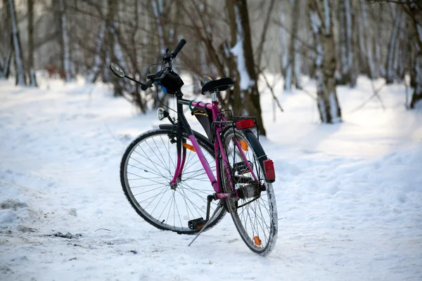 自行车站在树林里 — 图库照片