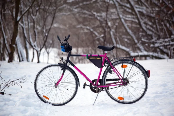 站在积雪的路上 在树林里的自行车 — 图库照片