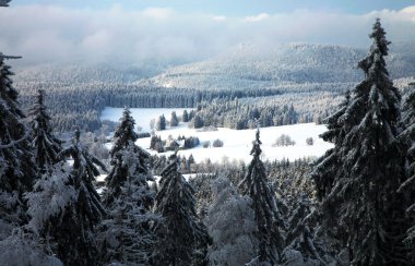 Landscape near Pasterka village in Poland clipart