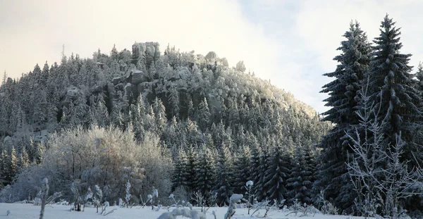 Alcance Montanha Mesa Inverno Paisagem Perto Pequena Pitoresca Aldeia Pasterka — Fotografia de Stock