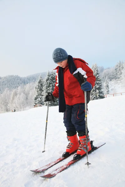 stock image Kid and ski