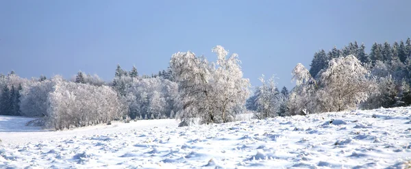 Ηλιόλουστη, χειμώνα ημέρα — Φωτογραφία Αρχείου