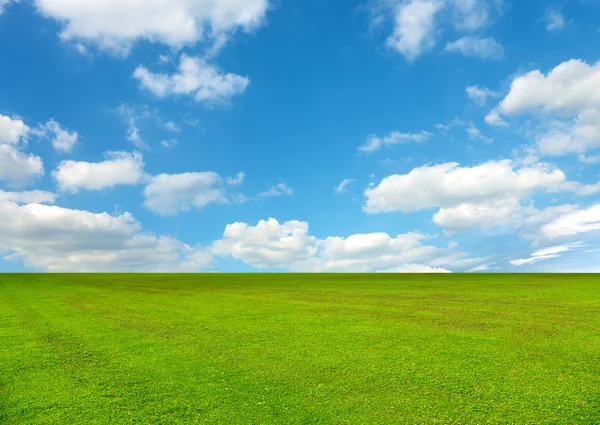 Campo de primavera coberto por uma grama — Fotografia de Stock
