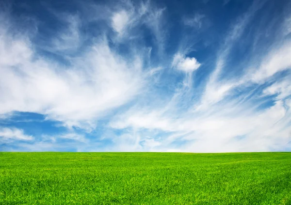 Fältet och sky - natur bakgrund — Stockfoto