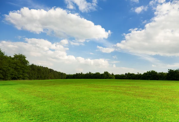 Весеннее поле и красивое небо — стоковое фото