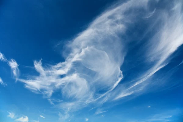 Белое облако — стоковое фото