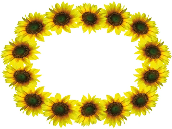 Sunflower frame with space for your text — Stock Photo, Image