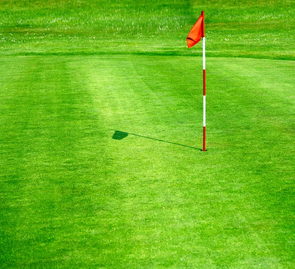 Green golf course — Stock Photo, Image