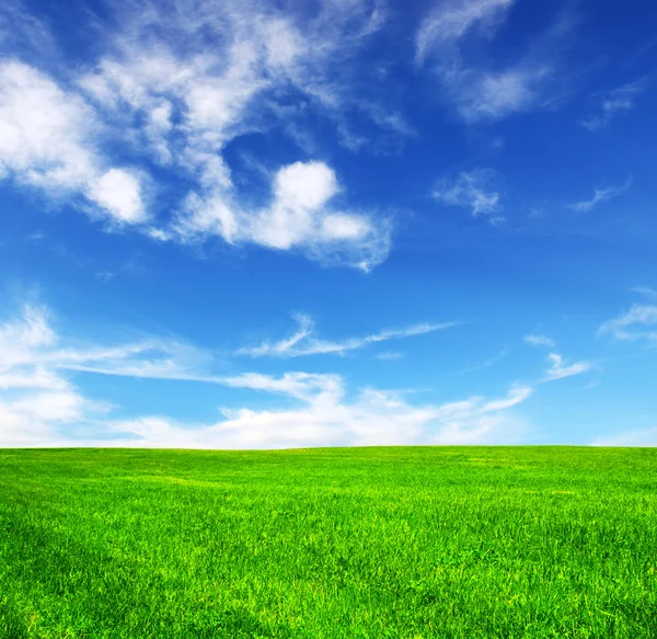 Prado verde coberto por uma grama — Fotografia de Stock