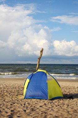 Baltık Denizi beach